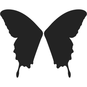 butterfly wings